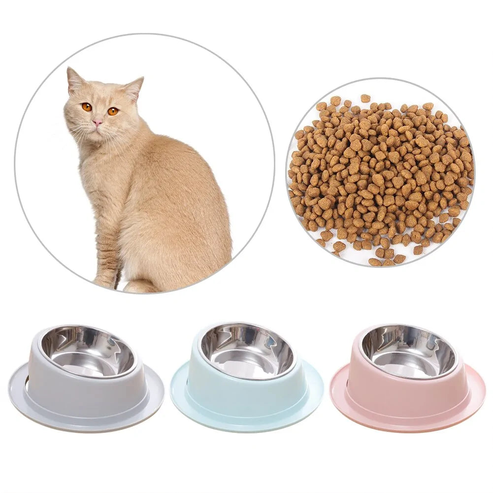 Raised Pet Bowl